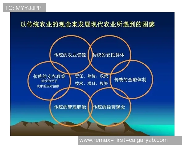 赛后分析:杭州乒乓球队与重庆乒乓球队个人能力对比探讨