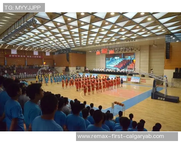 陈敏独家篮球心得分享：从基础技巧到比赛策略的全面解析与实战经验总结