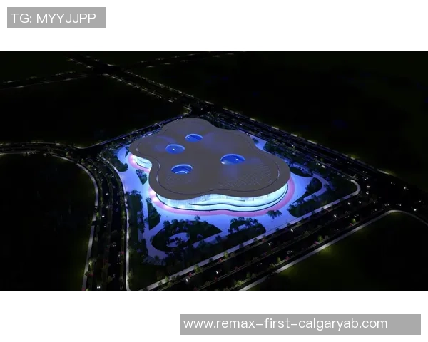 数据分析：南京极限运动队的比赛经验表现